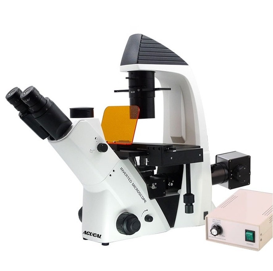 Product View